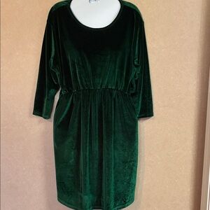 Amaryllis Deep Green Velvet Long Sleeve Dress